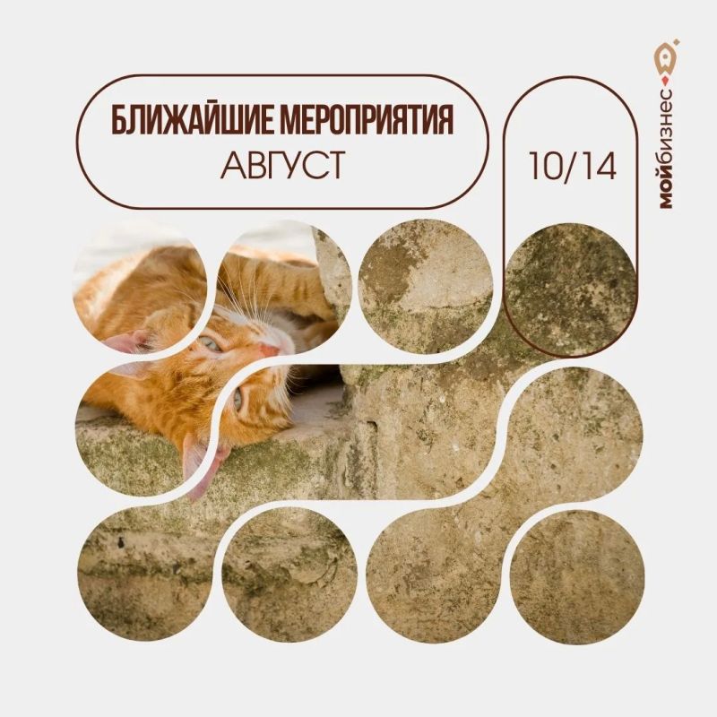 Успейте зарегистрироваться!