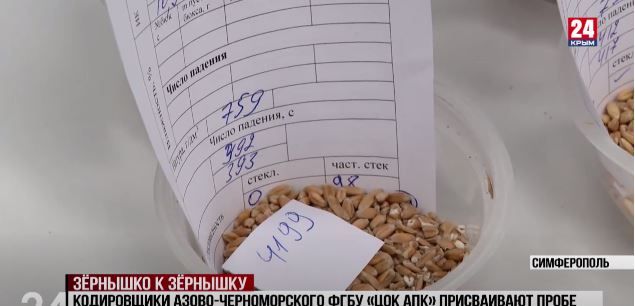 Более 500 тысяч тонн крымской пшеницы прошли государственный мониторинг
