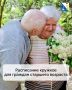 Для севастопольских пенсионеров проводят занятия в центре социального обслуживания