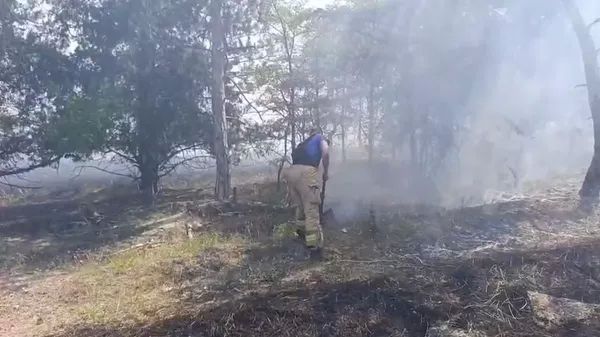 В Крыму за неделю потушили 112 пожаров