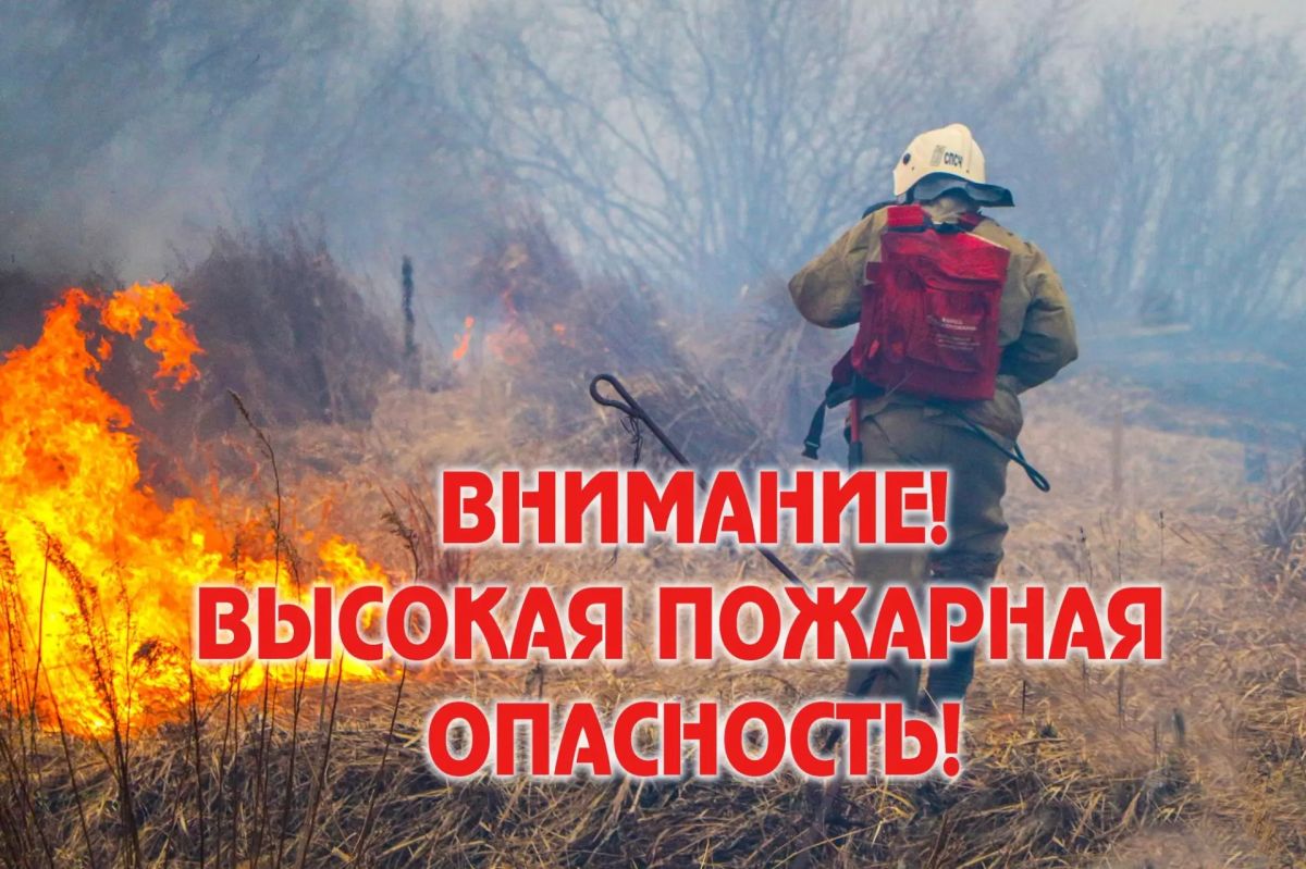 10 августа в центральных и восточных районах Крыма сохранится чрезвычайная пожарная опасность, в южных районах ожидается чрезвычайная пожарная опасность