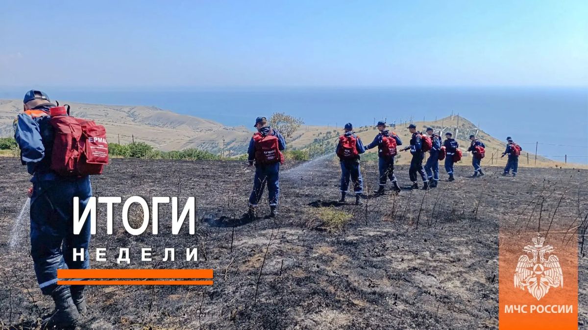 Итоги недели с 3 по 9 августа