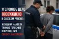 Уголовное дело возбуждено в Сакском районе: женщина нанесла тяжкие телесные повреждения своему знакомому