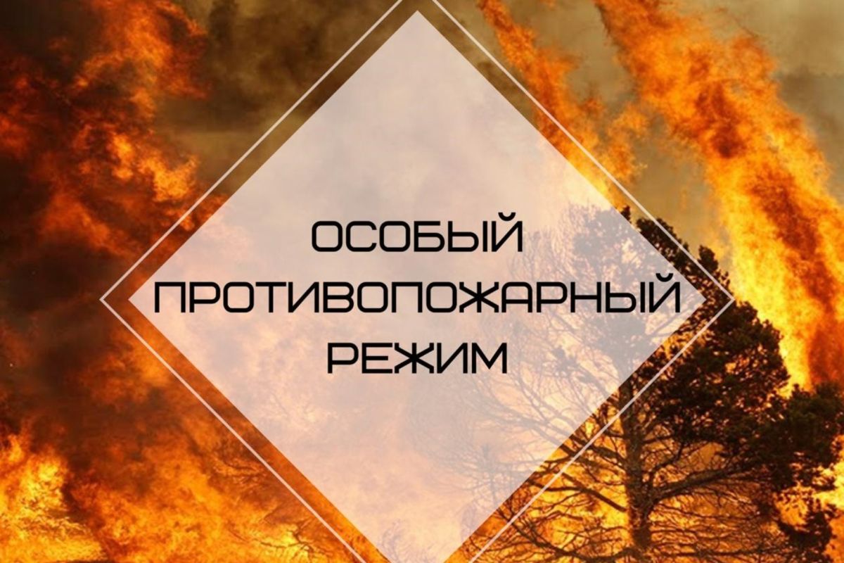 В Крыму действует особый противопожарный режим