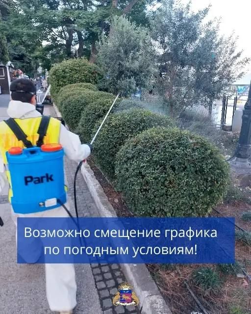 График обработки от кровососущих насекомых и обработки пальм от пальмового мотылька на территориях МБУ «Зеленстрой» График обработки от кровососущих насекомых и обработки пальм от пальмового мотылька на территориях МБУ «Зеленстрой»