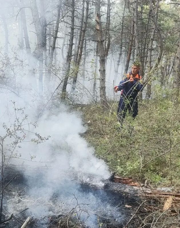 Борьба со стихией. 20 пожаров произошло за минувшие выходные в Крыму, 13 из них природные, 36 техногенного характера Борьба со стихией. 20 пожаров произошло за минувшие выходные в Крыму, 13 из них природные, 36 техногенного характера