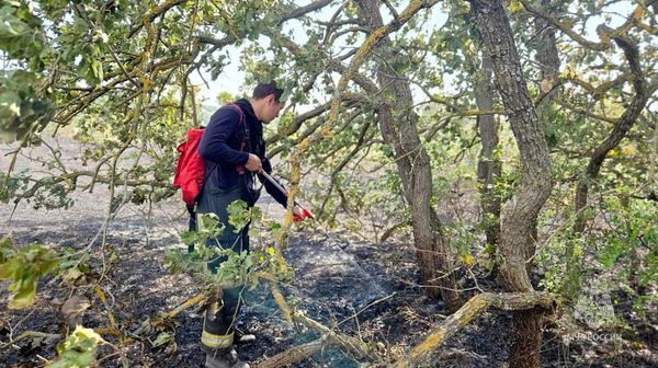 Под Симферополем выгорело 10 гектаров сухой растительности