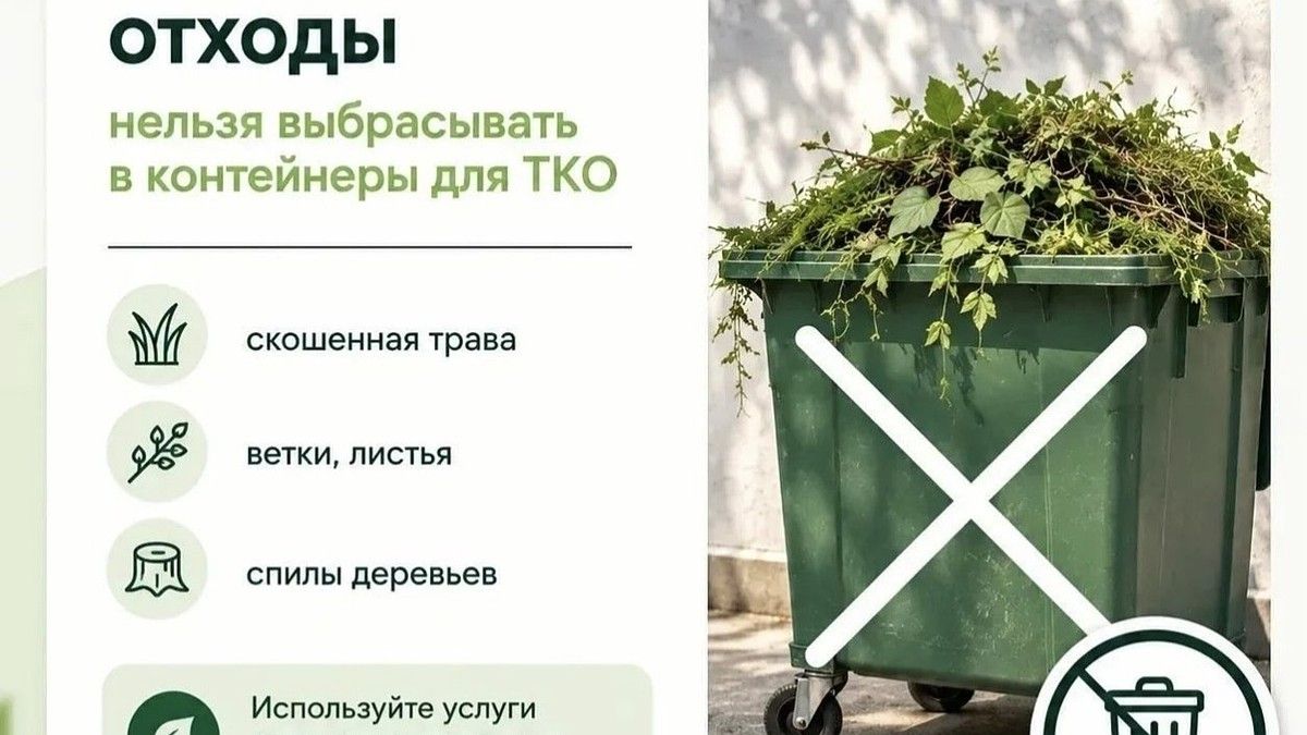 Крымчанам напомнили о запрете выброса веток и травы в мусорные контейнеры