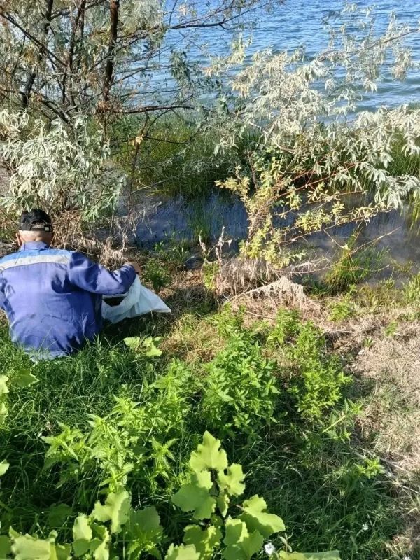 Госкомводхоз Республики Крым проводит мероприятия в рамках Всероссийской акции «Вода России» Госкомводхоз Республики Крым проводит мероприятия в рамках Всероссийской акции «Вода России»