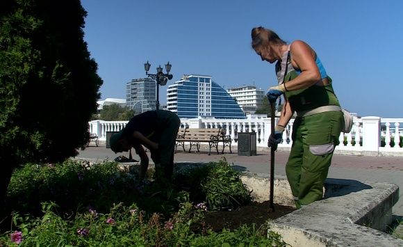 На Приморском бульваре специалисты следят за кустарниками и клумбами На Приморском бульваре специалисты следят за кустарниками и клумбами
