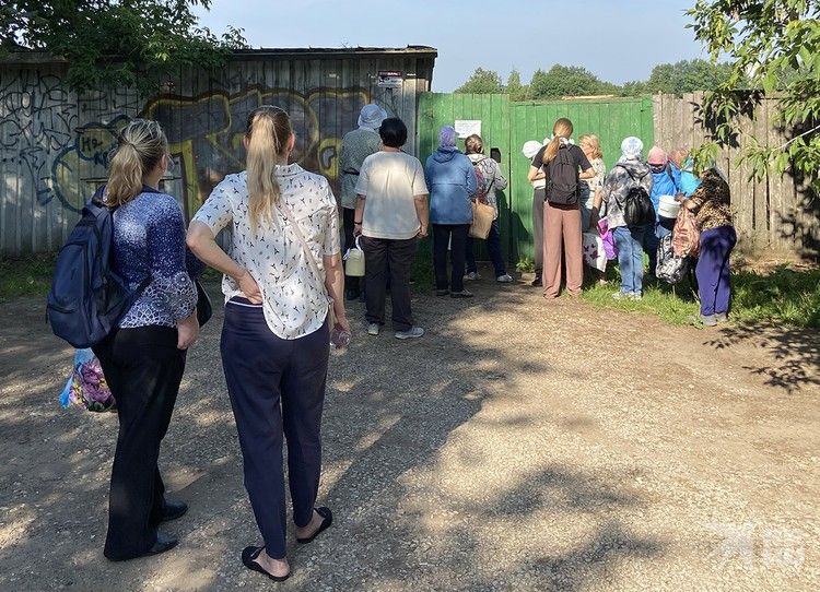 Почему в России своей малины мало и даже летом она стоит дорого Почему в России своей малины мало и даже летом она стоит дорого