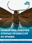 Крымский профессор Константин Ефетов вместе с корейским коллегой описал новый вид бабочек Amuria baei, найденный у границы с Россией