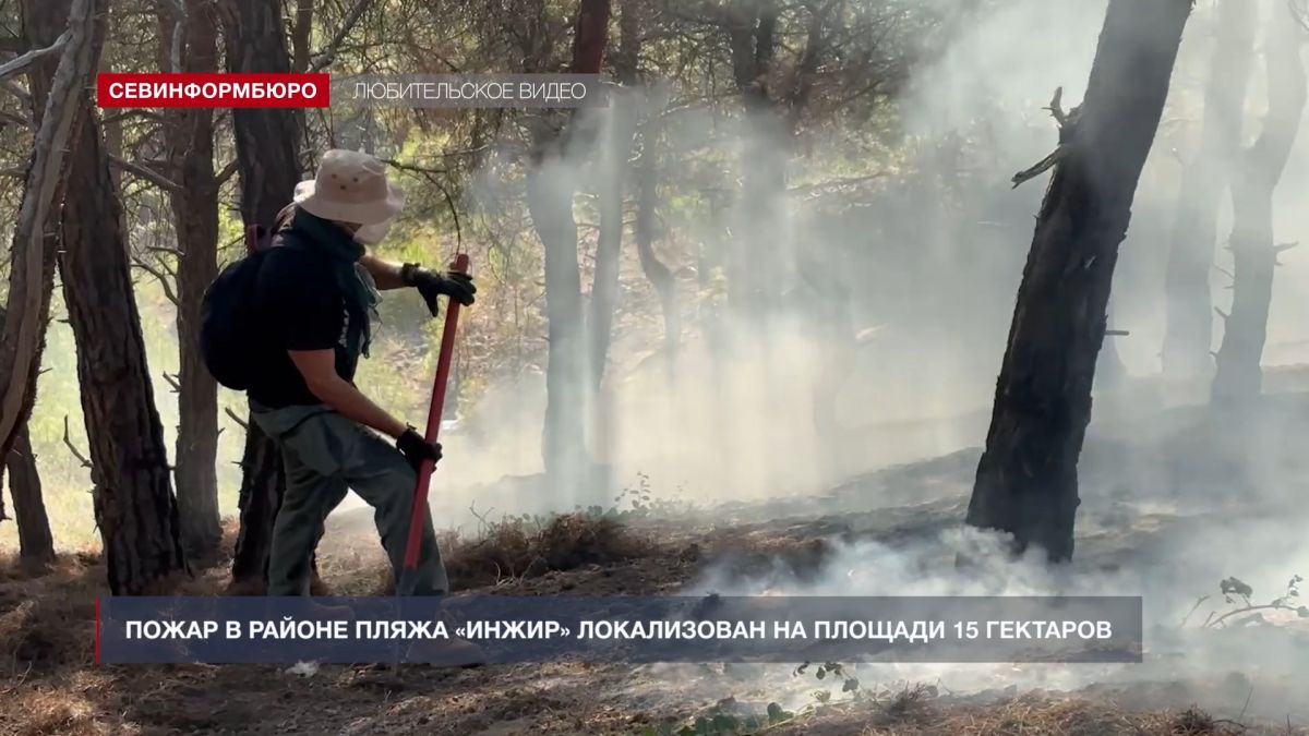 Пожар в районе пляжа «Инжир» локализован на площади 15 га