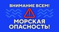Михаил Развожаев: Внимание всем! Морская опасность!