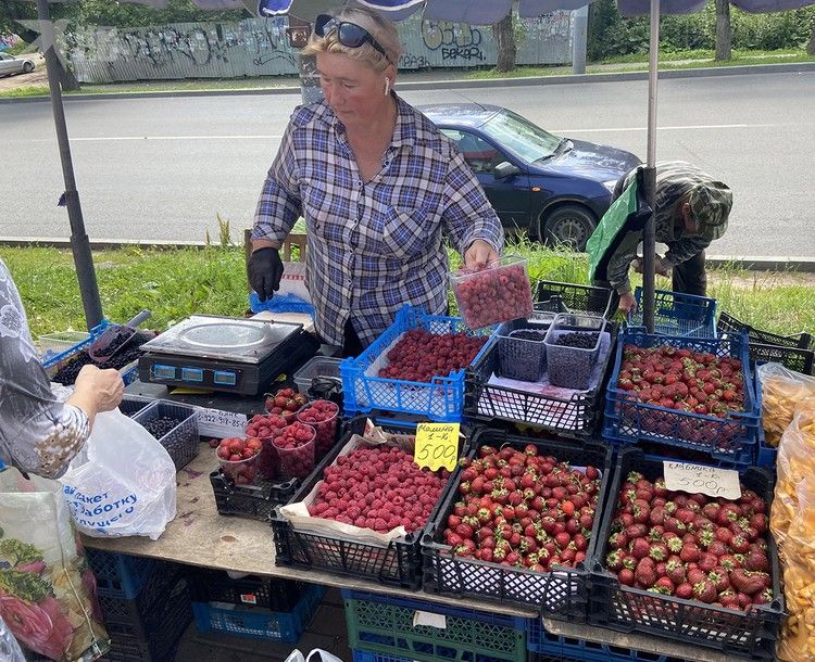 Почему в России своей малины мало и даже летом она стоит дорого Почему в России своей малины мало и даже летом она стоит дорого