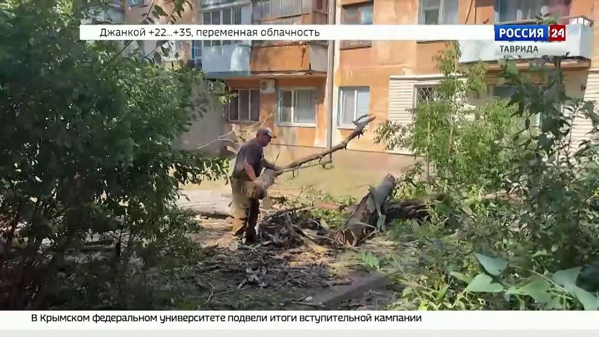 В Керчи проводят обрезку и спил деревьев