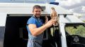 В Симферопольском районе сотрудники МЧС спасли истощенную голубку