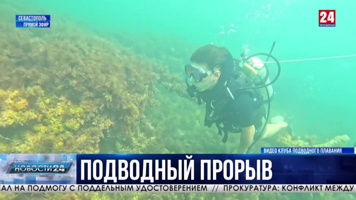 7 тысяч людей научились подводному плаванию в Севастополе