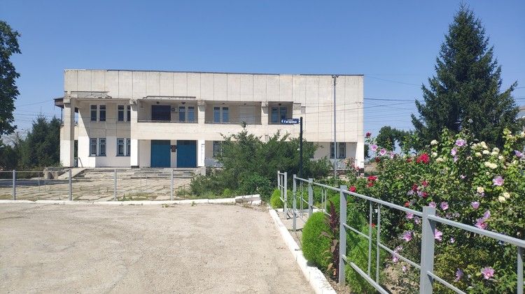 «Мать кричала на всю улицу!»: стали известны подробности смерти 12-летней школьницы в Крыму «Мать кричала на всю улицу!»: стали известны подробности смерти 12-летней школьницы в Крыму