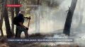 Пожар в районе пляжа «Инжир» локализован на площади 15 га