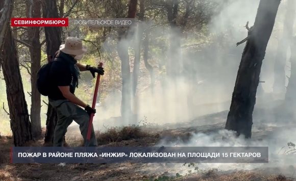 Пожар в районе пляжа «Инжир» локализован на площади 15 га Пожар в районе пляжа «Инжир» локализован на площади 15 га