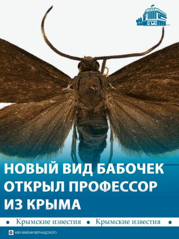 Крымский профессор Константин Ефетов вместе с корейским коллегой описал новый вид бабочек Amuria baei, найденный у границы с Россией