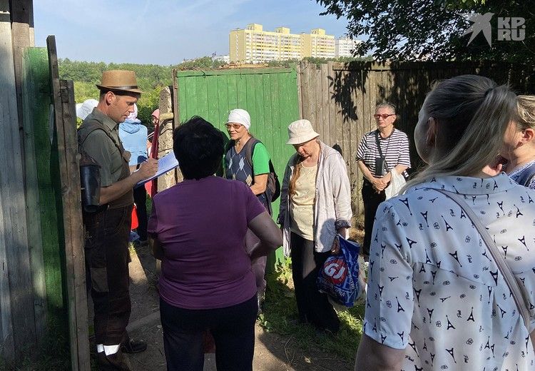 Почему в России своей малины мало и даже летом она стоит дорого Почему в России своей малины мало и даже летом она стоит дорого