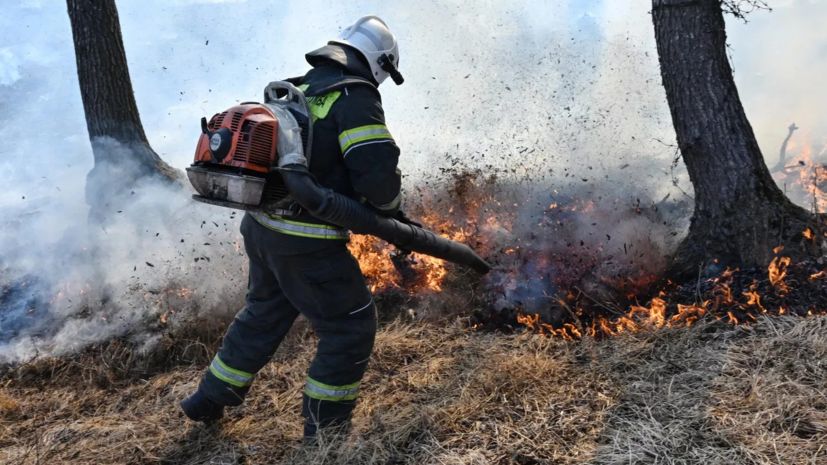 Лесной пожар в Севастополе после падения БПЛА локализован