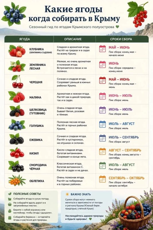 Когда собирать ягоды в Крыму? Сохраняйте нашу шпаргалку, чтобы не пропустить сезон самых вкусных ягод!