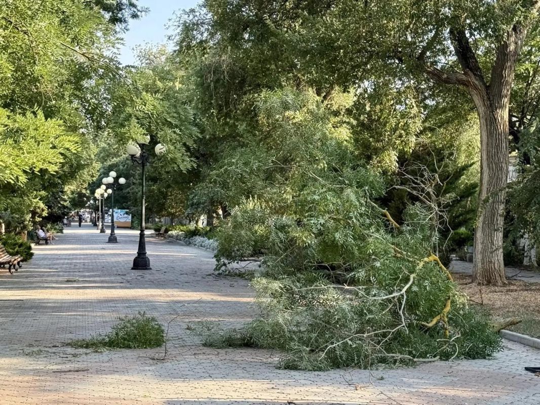 В одном из домов Евпатории из-за сильного ветра повреждено остекление балкона В одном из домов Евпатории из-за сильного ветра повреждено остекление балкона