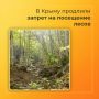 Внимание. В Крыму продлено ограничение на пребывание граждан в лесах и въезд на эти территории транспортных средств