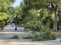 Во время сегодняшней непогоды, сопровождавшейся сильным ветром, в разных районах города были повалены деревья, в одном из домов по улице 60 лет ВЛКСМ повреждено остекление балкона