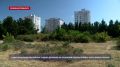 Севастопольцы обеспокоены судьбой деревьев на отданной под застройку территории у Парка Победы