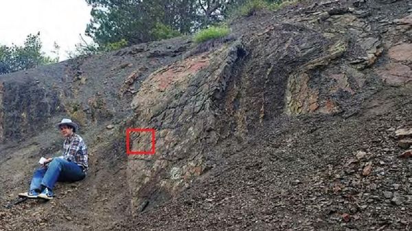 В Крыму нашли раковину моллюска возрастом 180 миллионов лет