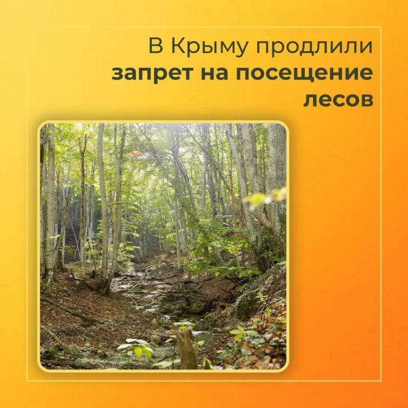 Внимание. В Крыму продлено ограничение на пребывание граждан в лесах и въезд на эти территории транспортных средств
