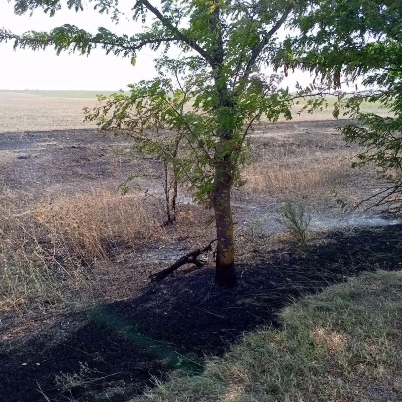 Сухая трава горела в Раздольненском районе Сухая трава горела в Раздольненском районе