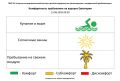13 августа комфортность Евпаторийского курорта, по данным ГБУЗ РК «Научно-исследовательского института детской курортологии, физиотерапии и медицинской реабилитации», составляет: