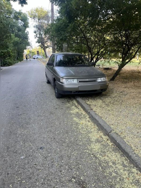 Иван Кошель: Призываю керчан не парковать автомобили в зелёной зоне и с заездом на бордюр! Иван Кошель: Призываю керчан не парковать автомобили в зелёной зоне и с заездом на бордюр!