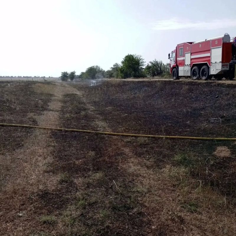 Сухая трава горела в Раздольненском районе