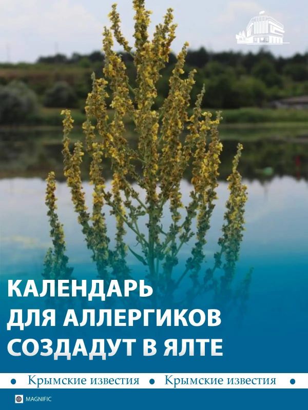 Календарь для аллергиков создают в Ялте
