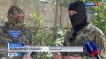 Крымчане собрали новую партию гуманитарной помощи для бойцов на фронте