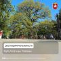 Знаете ли вы, что дуб, растущий в детском парке Симферополя, входит в пятёрку победителей конкурса «Российское дерево года — 2026»?