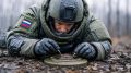 Трагедия в Севастополе: При разминировании погибли четыре пиротехника МЧС и охранник