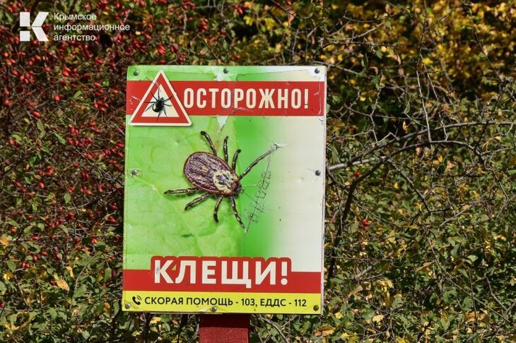 Крыму не угрожает сыпной тиф