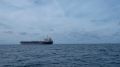 Захарова отметила нецелесообразность ввода моратория на боевые действия в Черном море