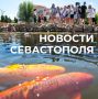 Михаил Развожаев: Коротко о главном:. За минувшую ночь наши военные, авиация, ПВО и мобильные огневые группы отразили атаку ВСУ