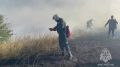 Ландшафтный пожар на 65 гектарах потушили под Симферополем