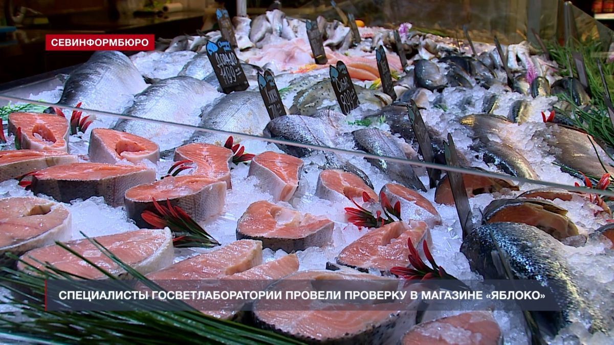 Основные события недели в Севастополе: 10 – 16 августа Основные события недели в Севастополе: 10 – 16 августа
