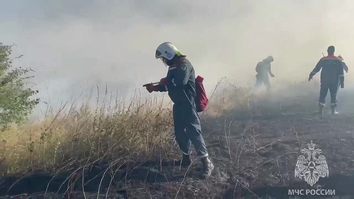 Пожар на площади 65 гектаров потушили в Симферопольском районе