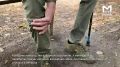 ������� ��� �������� � �������� � ���������, ��� � ��� �������� � ������� ������� �����